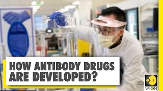 How are antibody drugs developed? | Race to find a cure for COVID-19