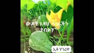 ላይክ ሸር እያደረጋችሁ   አበረታቱኝ  ጀማሪነኝ25 October 2024