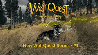 Playing With a New Wolf + Having to Reconfigure All My Settings (WolfQuest 3)