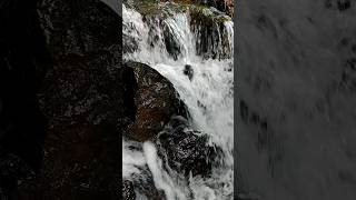 വലിയ മഴയിൽ ചെറിയ വെള്ളച്ചാട്ടം#shorts#shortfeed#waterfallstream