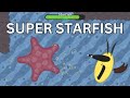 Florr.io - First Ever Super Starfish!