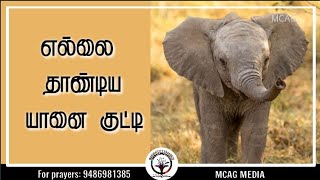 எல்லை தாண்டிய வாழ்க்கை / தினமும் ஒரு குட்டி கதையுடன் தேவனுடைய வார்த்தை / 05.01.2022 / DAY 579