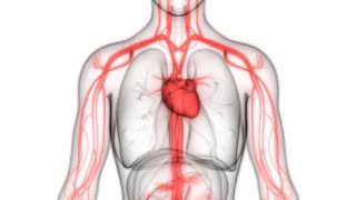 Haemodynamic Management of COVID-19 Septic Shock