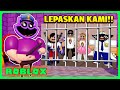 BANG CUPU DICUKLIK CATNAP ROBLOX!! Ft MIKOCIL MIKACIL MAMACIL