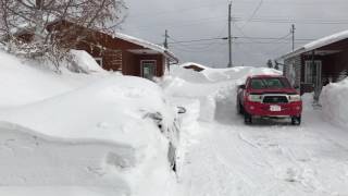 Incredible snow in Gander, Newfoundland and Labrador!