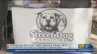 Veterinarians try 'to make a dent' in care of homeless pets by offering free services for the day