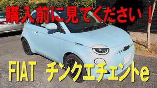 購入前に見てください！ FIAT 500e