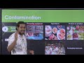 Microbiology of Meat and Meat Products