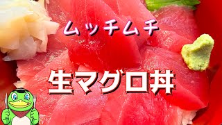 【グルメ】絶品！生マグロ丼【銚子】かっぱコレNo.429