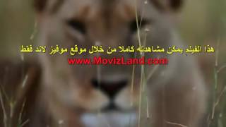 وثائقي  عصابات الأسود HD