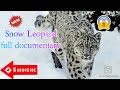 National Geographic Documentary  The Snow Leopard