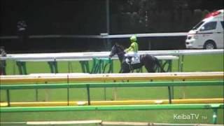 東京競馬2009年5月9日3R返し馬