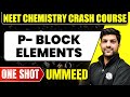 P- BLOCK ELEMENTS in 1 Shot : All Concepts, Tricks & PYQs | NEET Crash Course | Ummeed