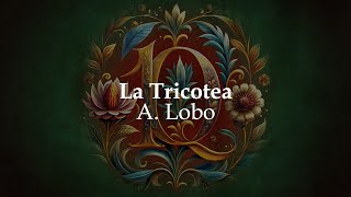 La Tricotea - Alonso Lobo