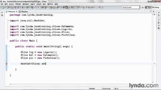 java tutorial Managing Unordered Lists With HashSet
