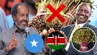 QAADKA KENYA OO LAGA MAMNUUCAY GUDAHA SOMALIA