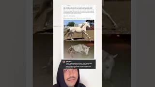 Bobby Carn discovered an abandoned and starving horse near his ranch