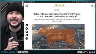 Prophecy Of The RED HEIFER Signals END OF DAYS, Israel Conflict Believed To Signal APOCALYPSE