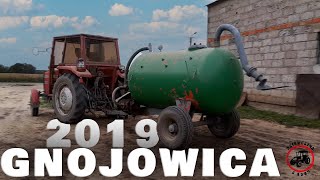 GNOJOWICA 2019 z Zenkiem | Massey Ferguson | Dziewczyn z Agro