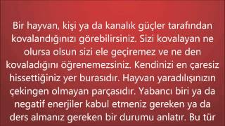 Herkesin Gördüğü En Yaygın 10 Kabus ve Açıklaması 2014-2015