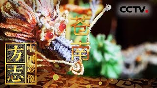 《中国影像方志》 第315集 浙江苍南篇 青花鱼盘“拔五更” 畲族夹缬白矾如珠 | CCTV科教