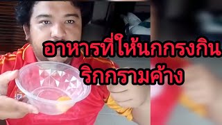 อาหารสูตรนกแข่ง,ดีท็อก,ถ่ายพยาธิep.34#ซันนกกรง