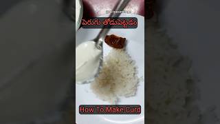 How To Make Homemade Perugu (Curd) పెరుగు రెసిపి Indian Yogurt Recipe in Telugu #shorts #perugu