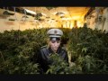 LEGALISE IT - UB40 (Remix from the Elephant House - Groove Corporation)