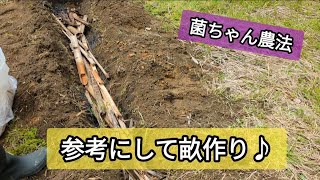 【菌ちゃん農法】参考にして畝を作ってみた♪