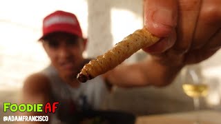 Oyster Grill De La Docena in Puerto Vallarta (Eating Worms! 🪱) (Foodie AF 3)