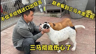 【姚三马】赵老板到三马犬舍买狗，不仅不给钱还口出狂言，三马彻底伤心了