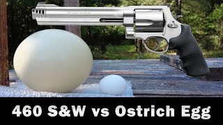 460 S&W vs Ostrich Egg - Bullistics - Season 01, Episode 02