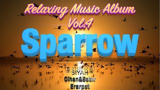 The Sparrow by Cihan Sabır Erarpat Relaxing Music Album Calm, Meditation, Study, Yoga,Sleeping