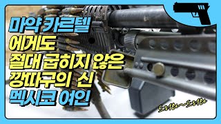 3번의 암살 위협에도 멕시코 마약 카르텔에게 절대 굽히지 않은 멕시코 여인