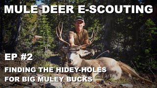 E-SCOUTING FOR MULE DEER: FINDING BIG BUCK HIDEY-HOLES - EP2