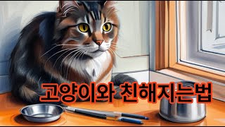 고양이와 사이좋게 지내는 비법    성공률100%