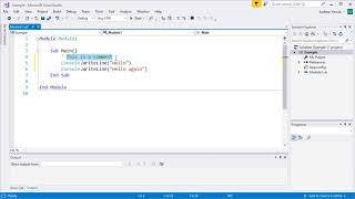 Visual Basic - Using Comments