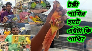 টঙ্গী বাজার পাখি এবং কবুতরের হাট | bird market gazipur tongi | pakhir ghor | pakhi palan |28-05-2023