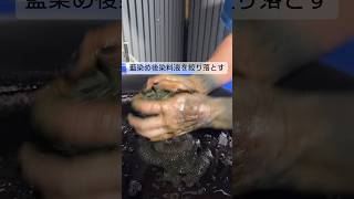 藍染め後に圧をかけて藍染液を瓶に一滴でも多く戻す 灰汁発酵建て 草木染め 植物染め ものづくり のれん インテリア