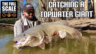 Catching a TOPWATER GIANT | The Full Scale