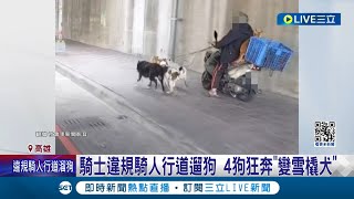 台灣不需要雪橇犬ㄟ...騎士違規騎人行道遛狗 4狗狂奔\