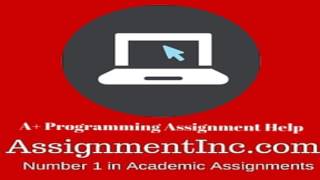 A+ Programming Assignment Help