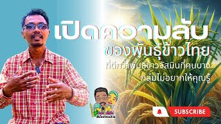 เปิดความลับ ของพันธุ์ข้าวไทยที่ดีกว่าเวียดนามที่เราไม่เคยพูดที่ไหนมาก่อน