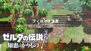 【ゼルダの伝説 知恵のかりもの】フィローネ湿原～デクナッツタウン～ハート池の無 ストーリー攻略 #20【知恵かり/Switch】