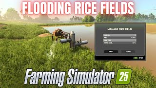 FIRST LOOK AT RICE FIELD FLOODING - Farming Simulator 25