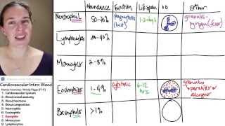 Blood 7- Basophils