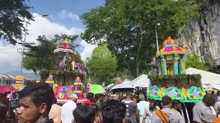 Ipoh Thaipusam 2025 (Feb 11, Morning): Big \u0026 Colorful Kavadis Dancing at Kallumalai Temple (Part 1)