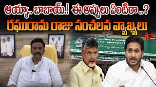 అయ్యా..బాబాయ్.! ఈ అప్పులు ఏంటిరా.? Raghurama krishnam raju Aggressive Comments | Ys Jagan | TOne