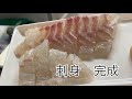 【海上釣り堀サザン】大阪府 釣った魚を刺身にするまで