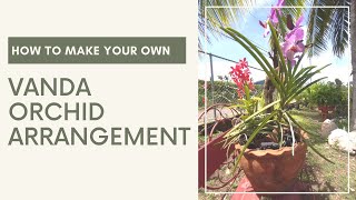 Watch me Create a New Vanda Orchid Arrangement: How I Arrange Terete Vandas in a Pot